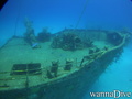 scuba diving photo