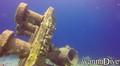 scuba diving photo
