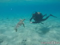 scuba diving photo