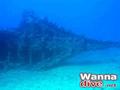 scuba diving photo