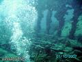 scuba diving photo