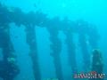 scuba diving photo