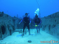 scuba diving photo