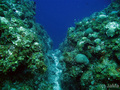 scuba diving photo