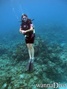 scuba diving photo