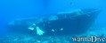 scuba diving photo