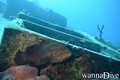 scuba diving photo