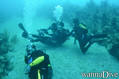 scuba diving photo