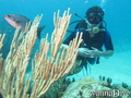 scuba diving photo