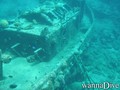 scuba diving photo
