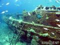 scuba diving photo