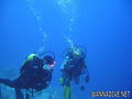 scuba diving photo
