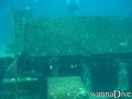 scuba diving photo