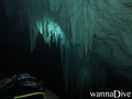 scuba diving photo