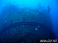 scuba diving photo