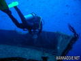 scuba diving photo