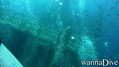 scuba diving photo