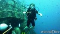 scuba diving photo