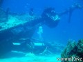 scuba diving photo