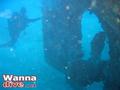 scuba diving photo