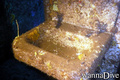 scuba diving photo
