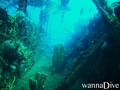 scuba diving photo