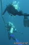 scuba diving photo