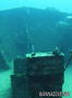 scuba diving photo