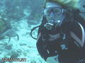 scuba diving photo