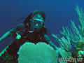 scuba diving photo