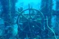 scuba diving photo