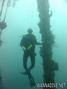 scuba diving photo