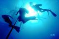 scuba diving photo