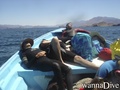 scuba diving photo