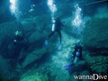 scuba diving photo