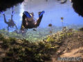 scuba diving photo