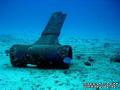 scuba diving photo