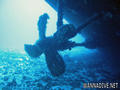 scuba diving photo