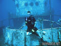 scuba diving photo