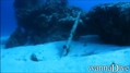 scuba diving photo