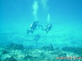 scuba diving photo