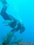 scuba diving photo