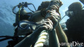 scuba diving photo