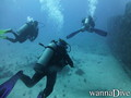 scuba diving photo