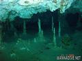 scuba diving photo