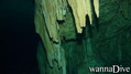 scuba diving photo