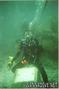 scuba diving photo