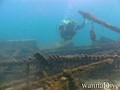 scuba diving photo