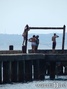 scuba diving photo