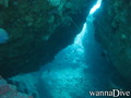 scuba diving photo